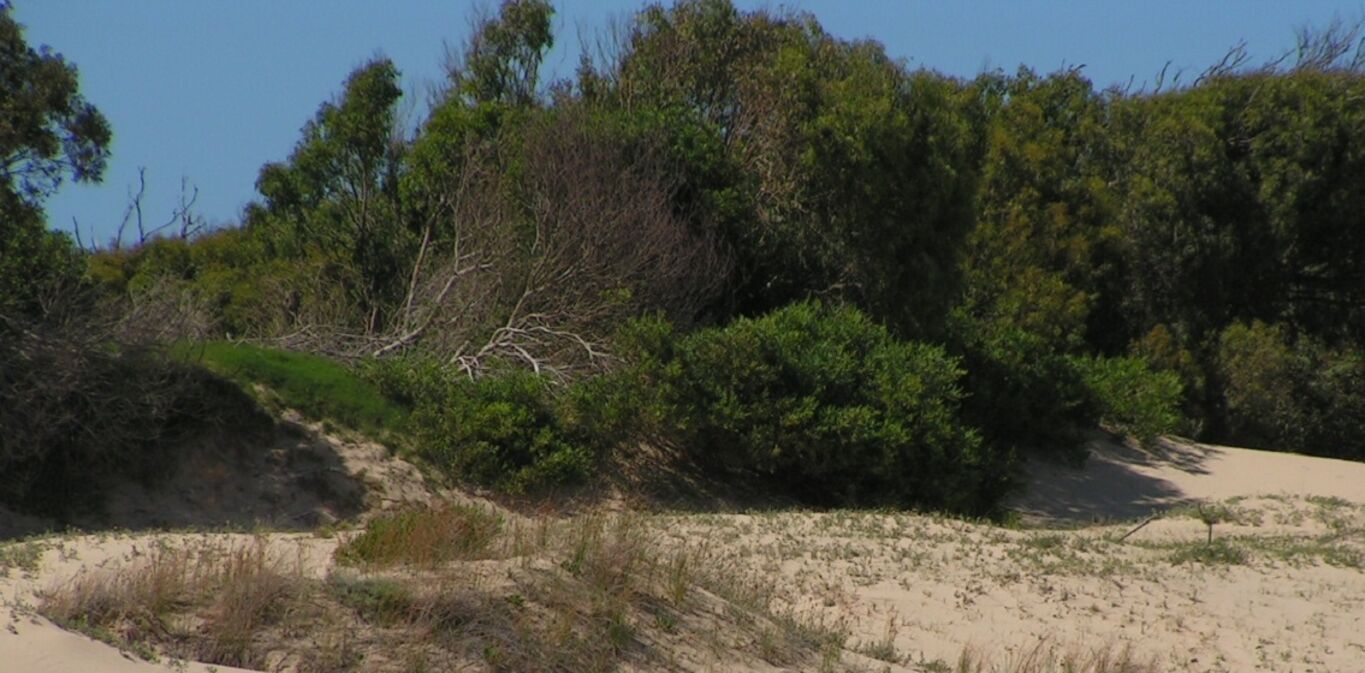 Chacra con Costa sobre El Atlántico — imagen 3