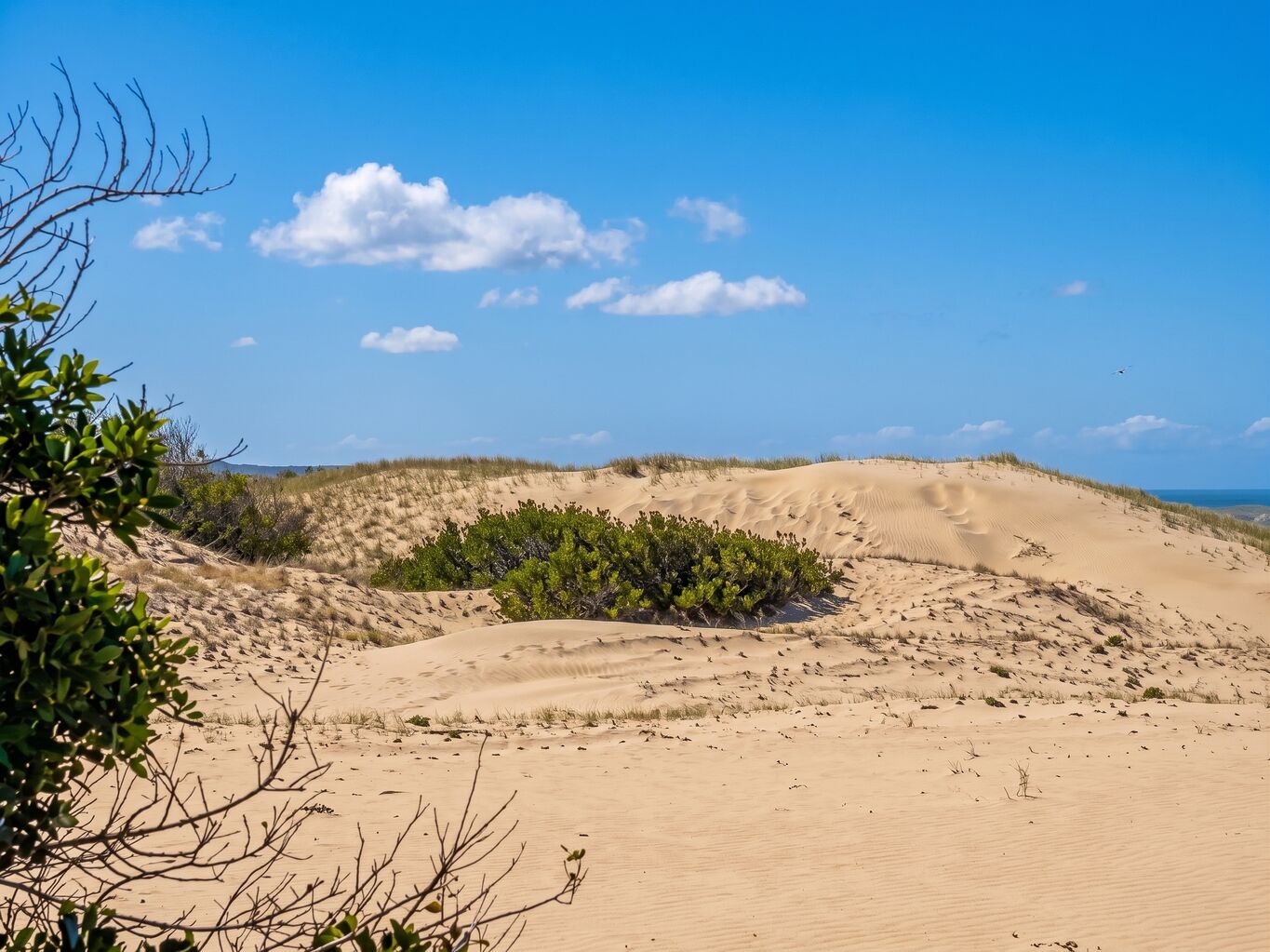 Chacra con Costa sobre El Atlántico