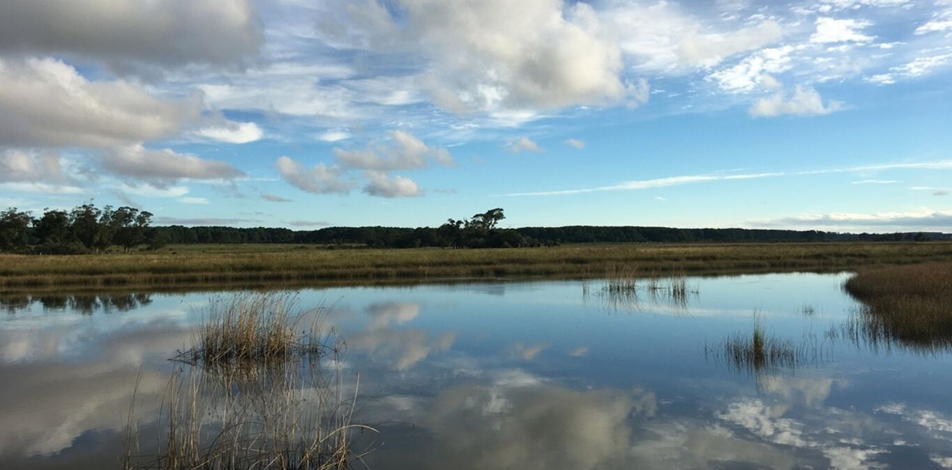 Chacra en Barra de Valizas — imagen 3
