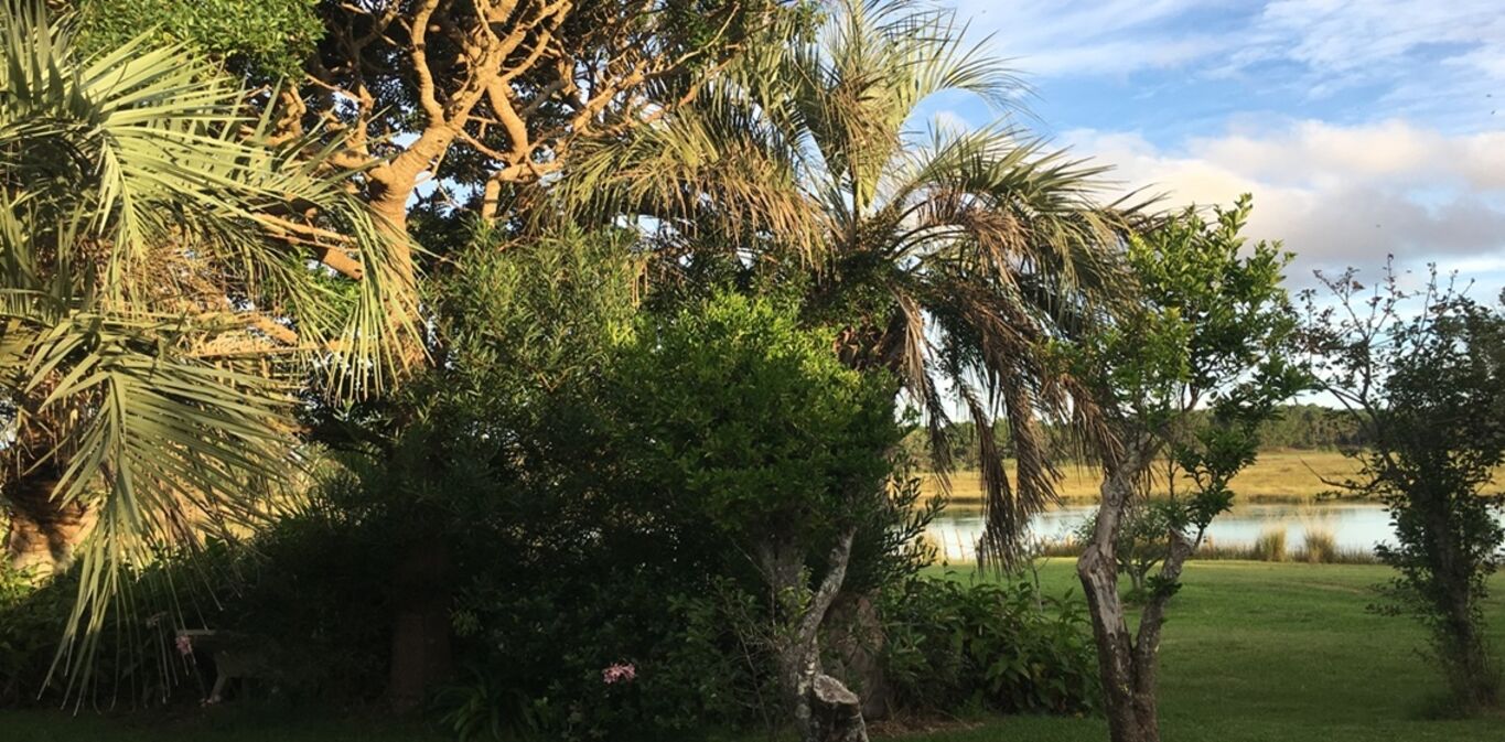 Chacra en Barra de Valizas — imagen 4