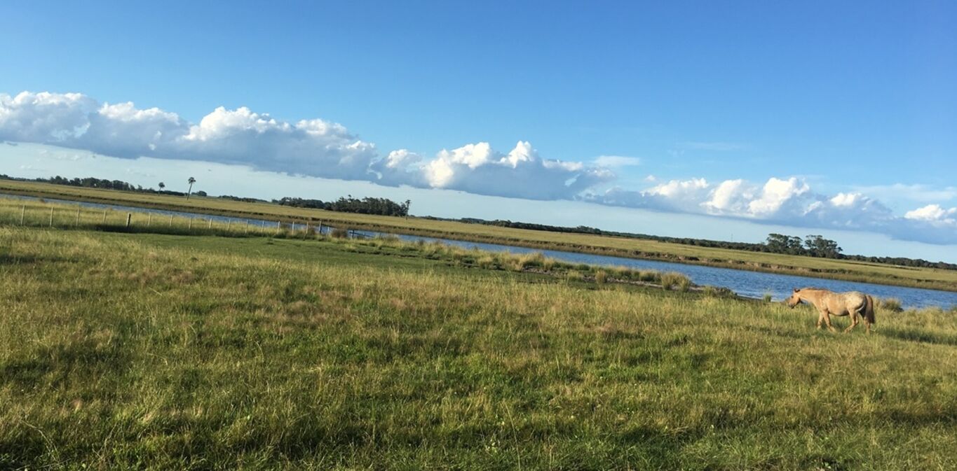 Chacra en Barra de Valizas — imagen 6