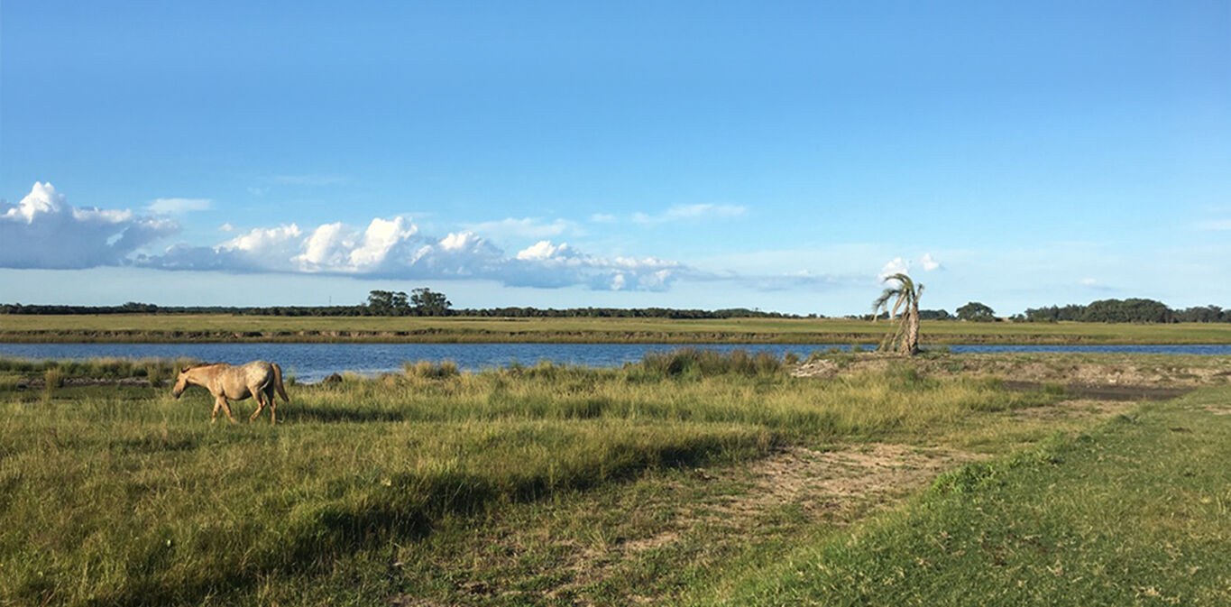 Chacra en Barra de Valizas — imagen 11