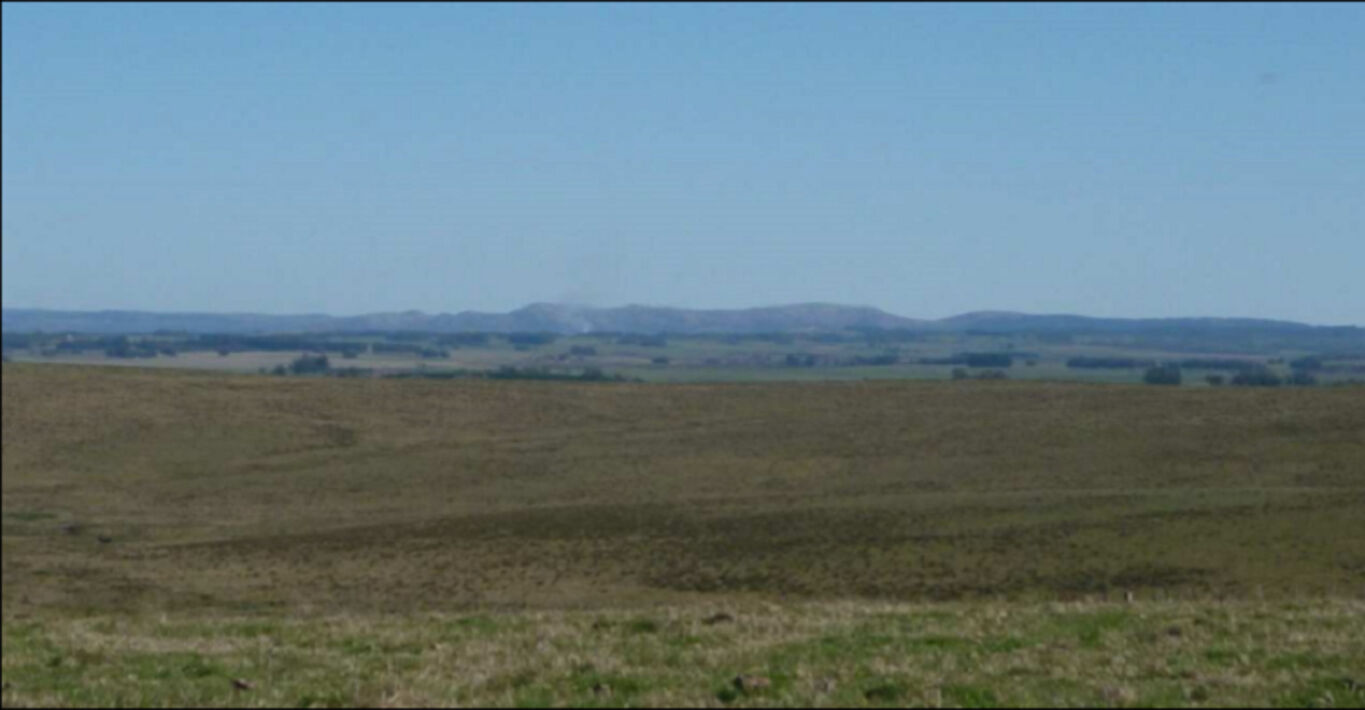 Campo en Rocha
