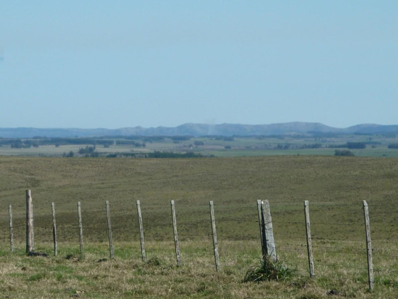 Campo en Rocha — imagen 2
