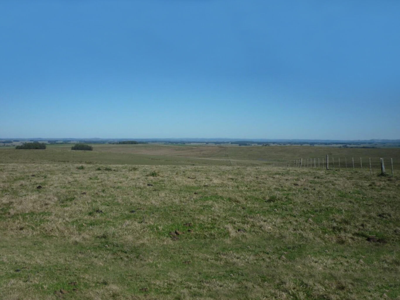 Campo en Rocha — imagen 3