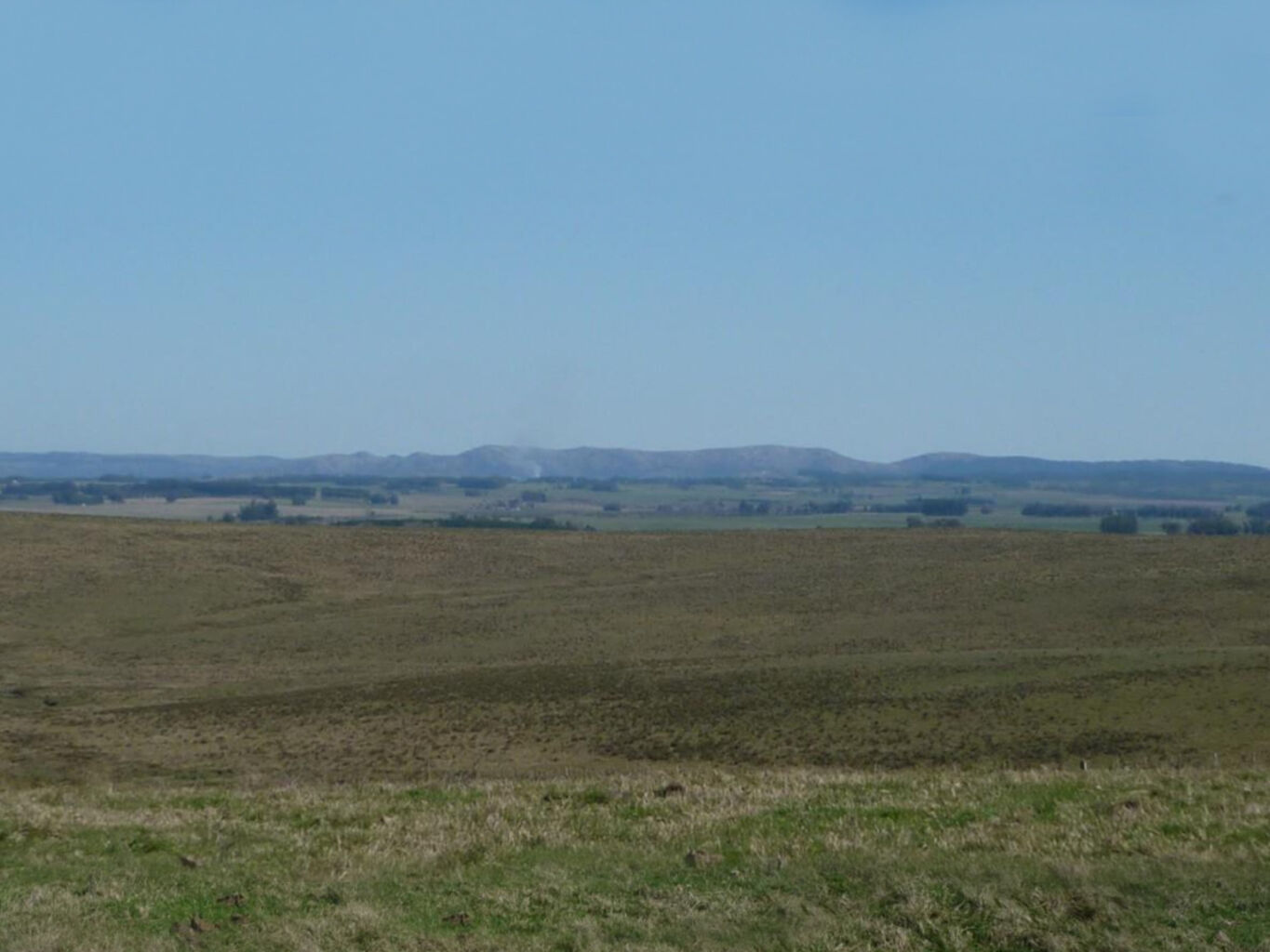 Campo en Rocha — imagen 4
