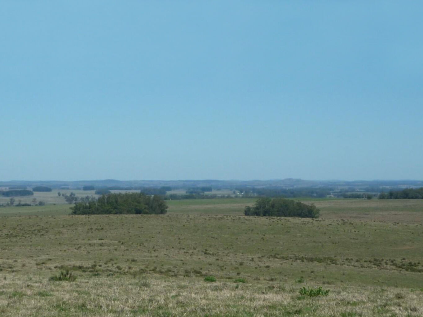 Campo en Rocha — imagen 5
