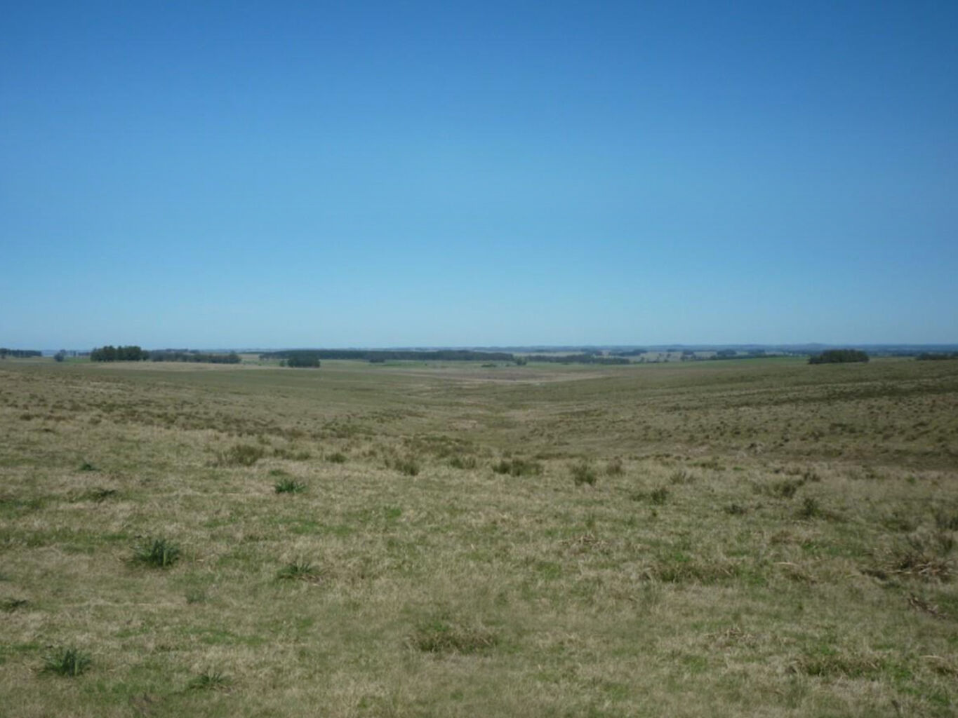 Campo en Rocha — imagen 6
