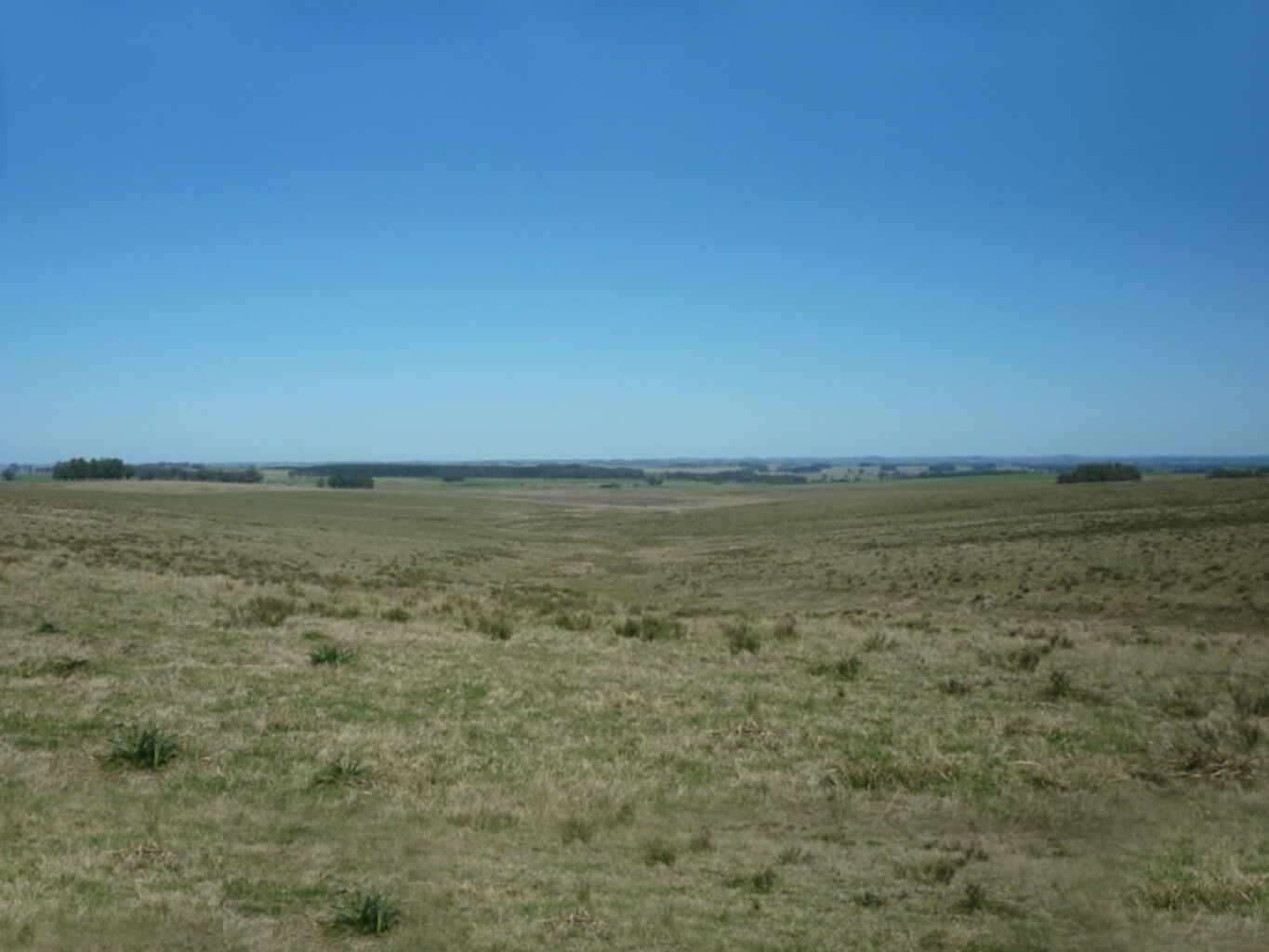 Campo en Rocha — imagen 7