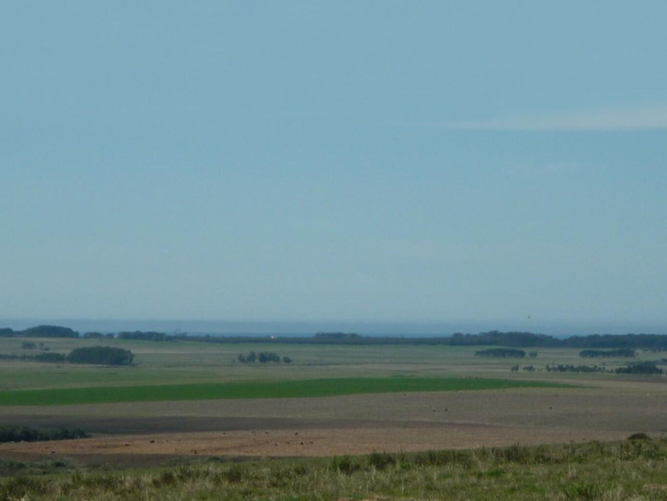 Campo en Rocha — imagen 9
