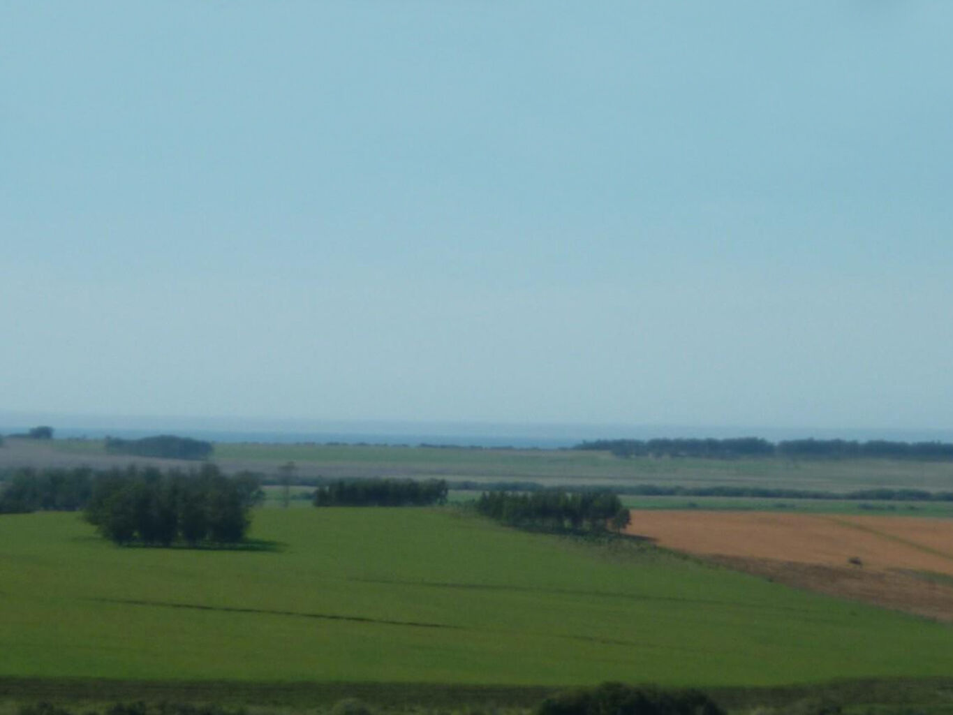 Campo en Rocha — imagen 10