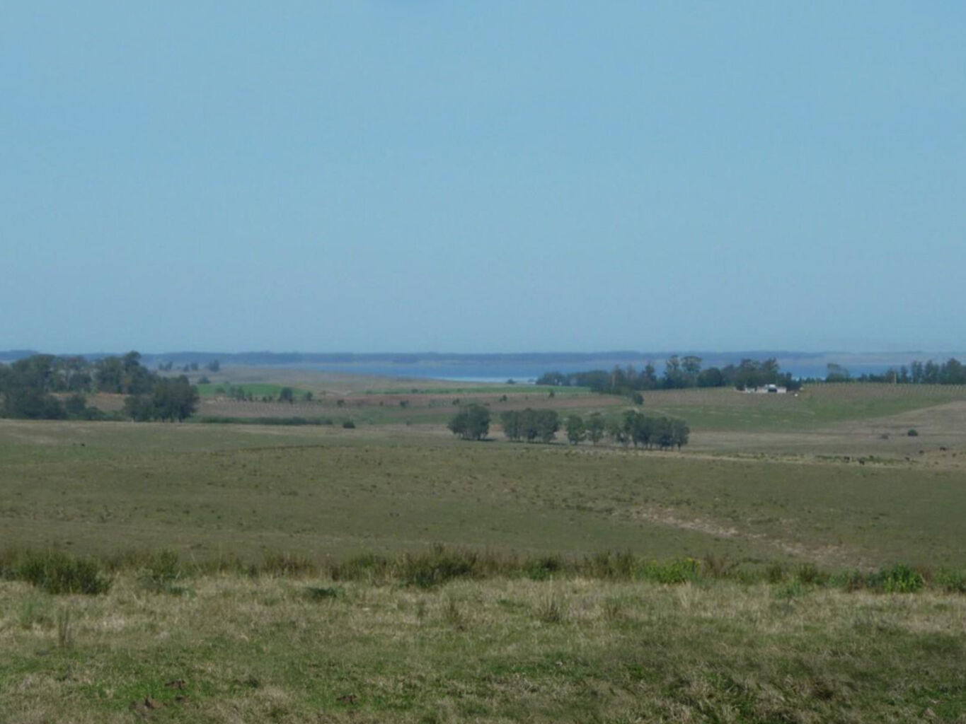 Campo en Rocha — imagen 11