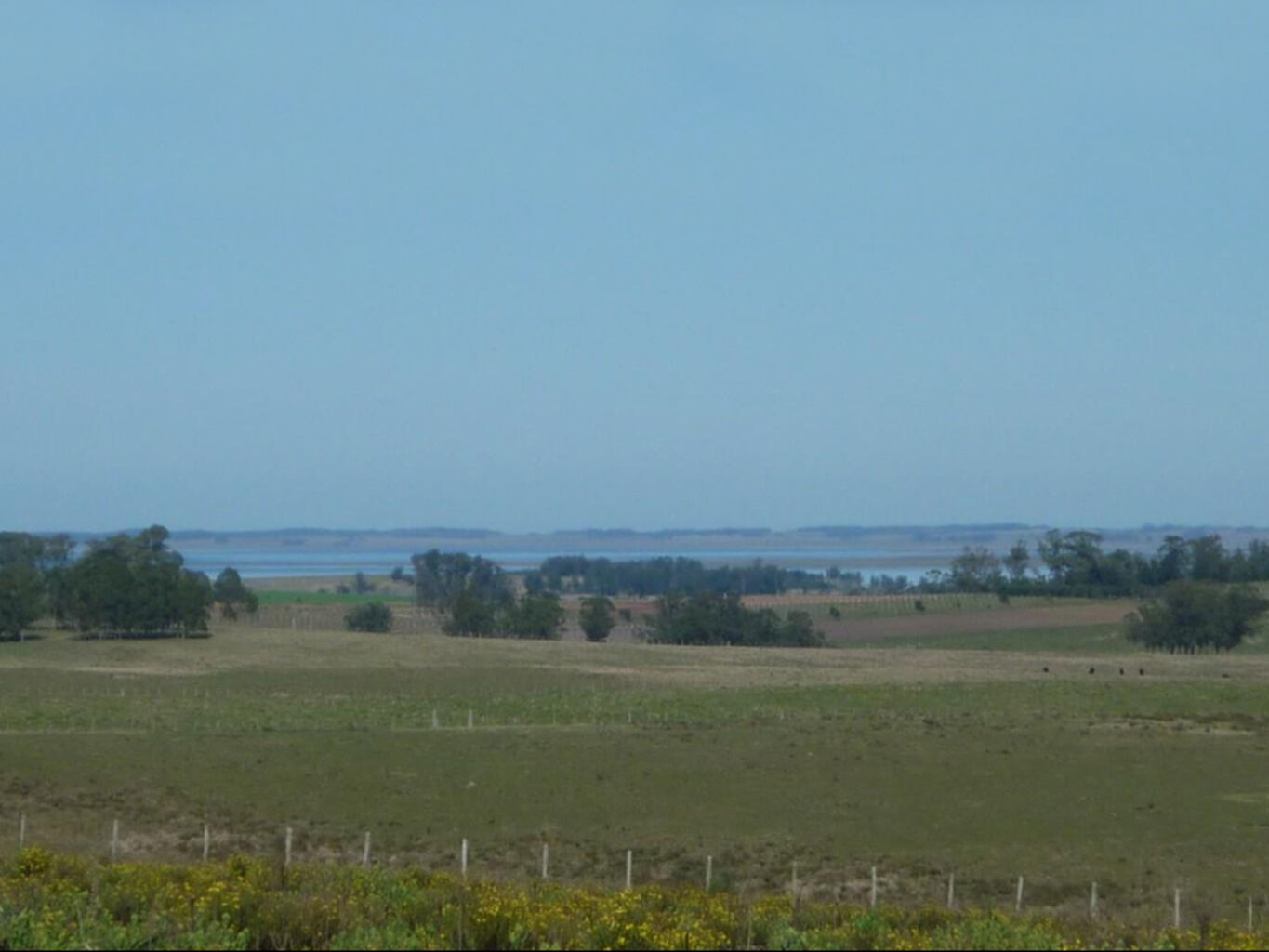 Campo en Rocha — imagen 12