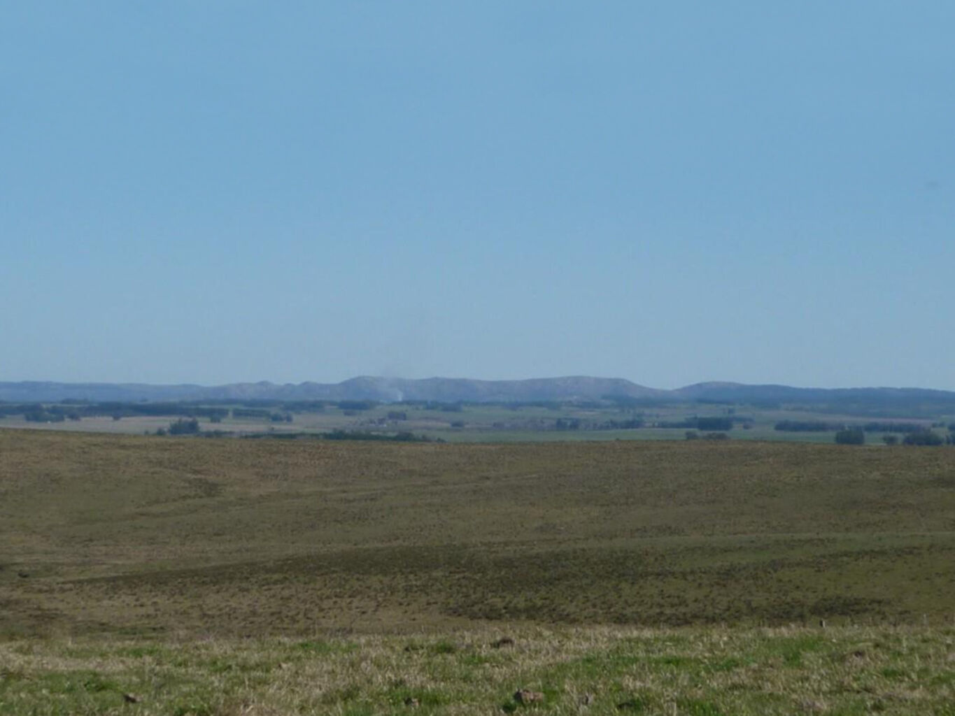 Campo en Rocha — imagen 13