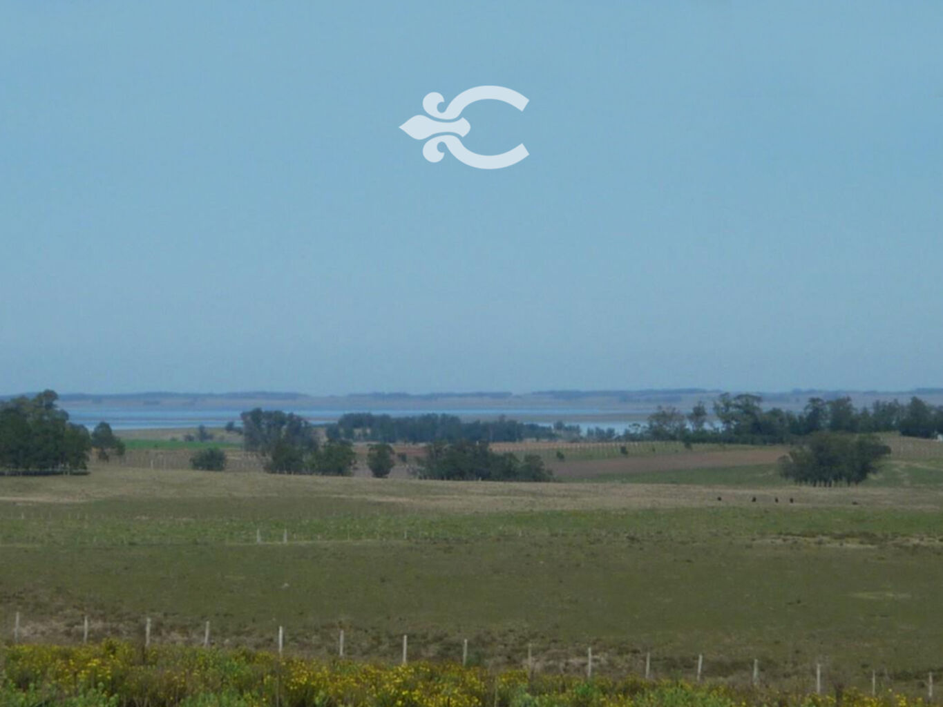 Campo en Rocha — imagen 14