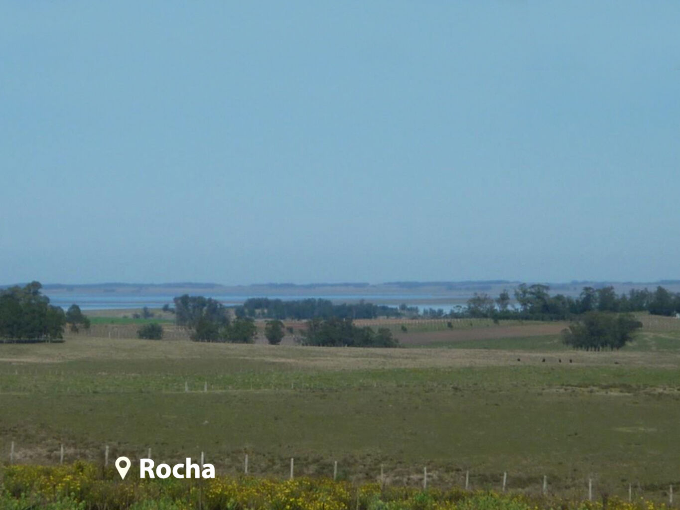 Campo en Rocha — imagen 15