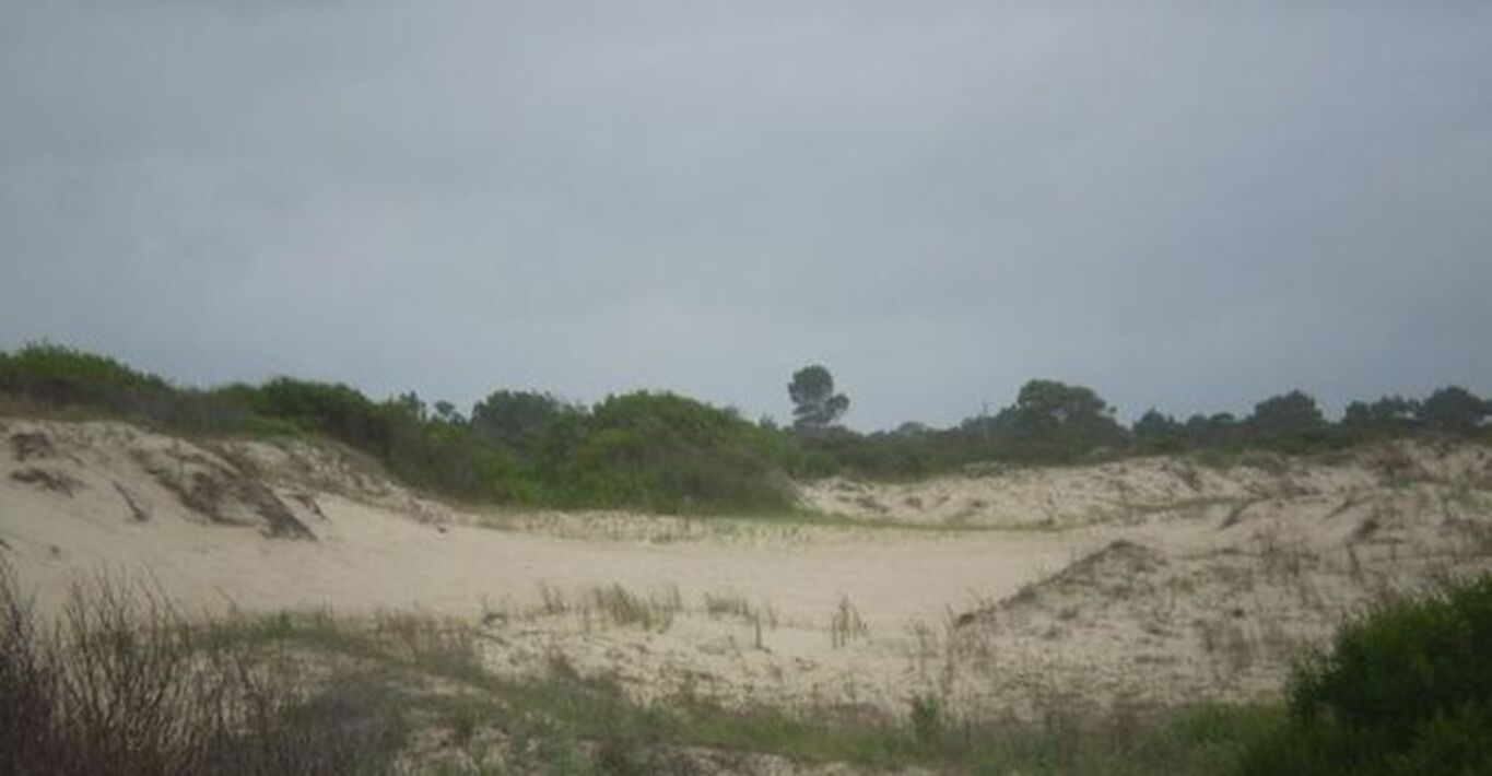 Terreno en Aguas Dulces — imagen 5