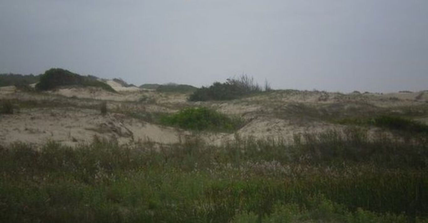 Terreno en Aguas Dulces — imagen 9