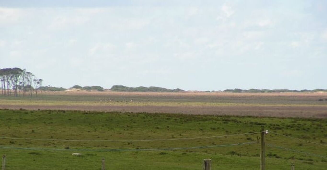 Campo con Costa Oceánica — imagen 3