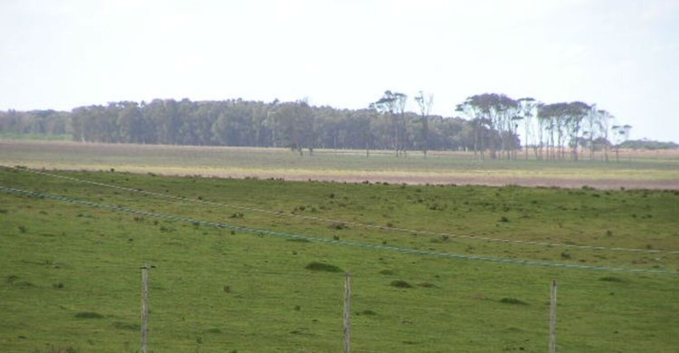 Campo con Costa Oceánica — imagen 4