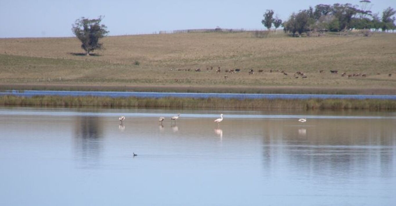 Campo en Rocha con Costa sobre Laguna — imagen 4