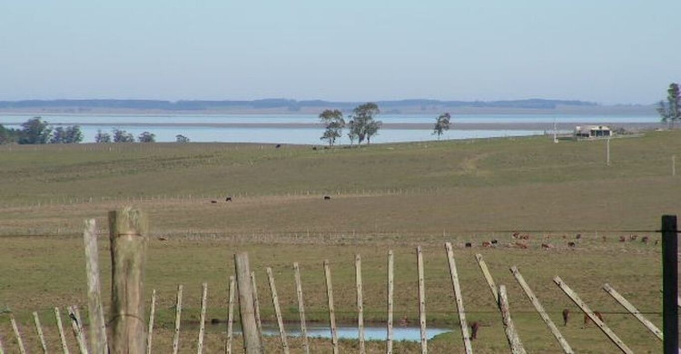 Campo en Rocha con Costa sobre Laguna — imagen 7