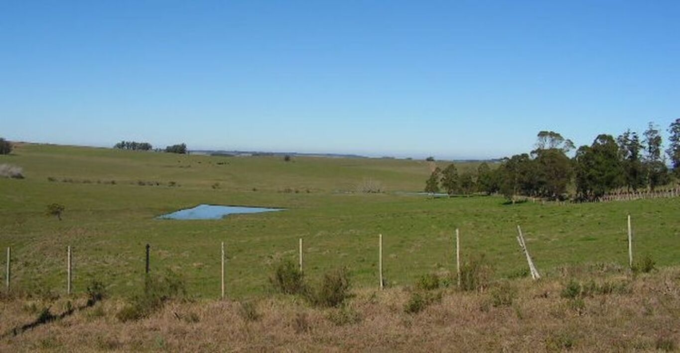 Campo en Rocha con Costa sobre Laguna — imagen 9