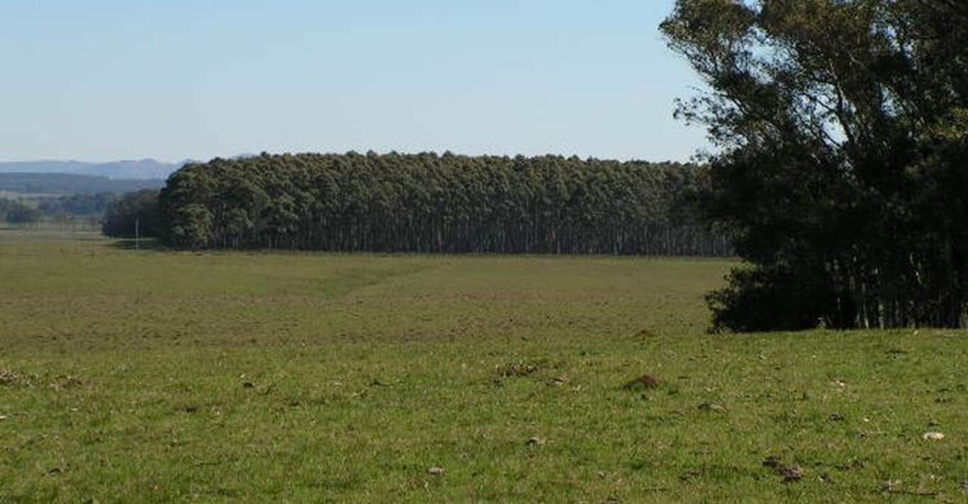 Campo en Rocha con Costa sobre Laguna — imagen 11