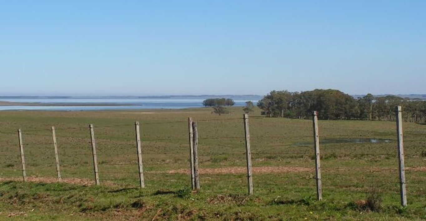 Campo en Rocha con Costa sobre Laguna — imagen 12