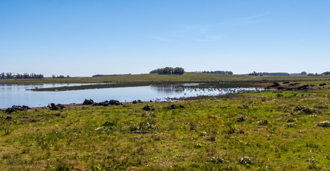 Campo en Rocha con Costa sobre Laguna