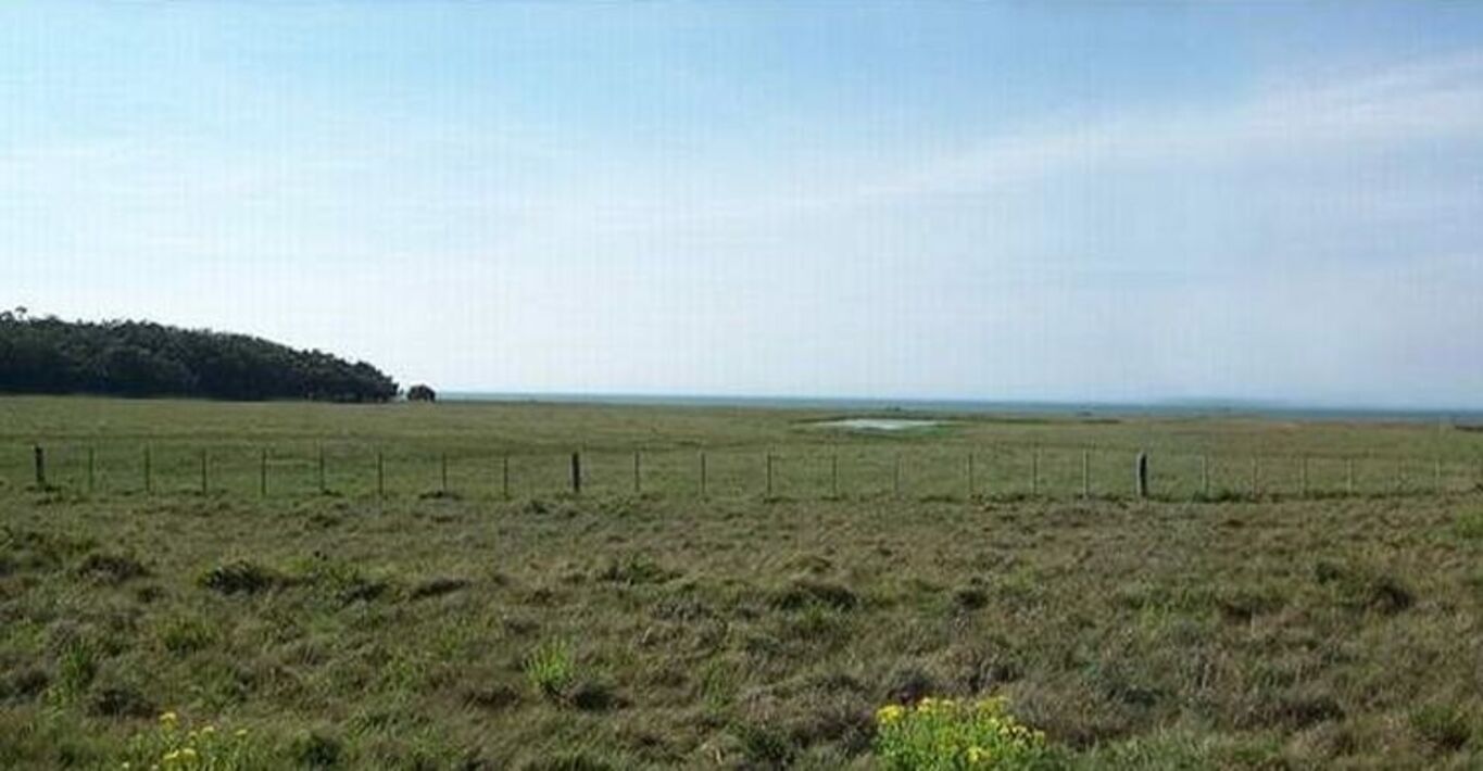Chacra con Costa Próxima a José Ignacio — imagen 3