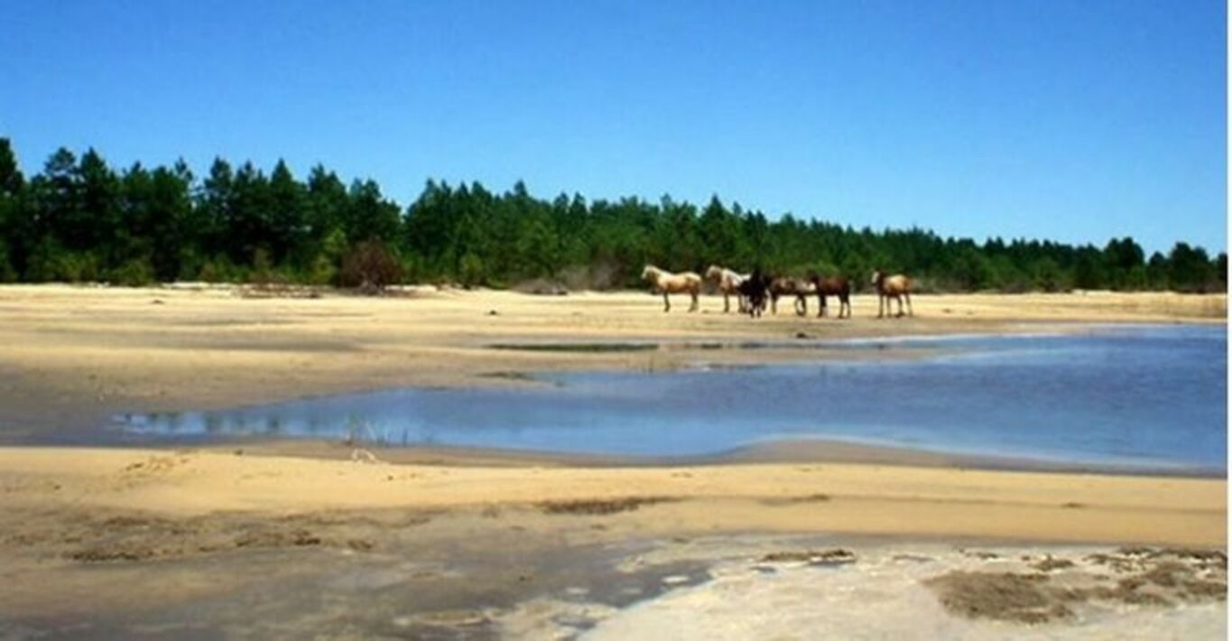 Campo con Playas Oceánicas — imagen 3