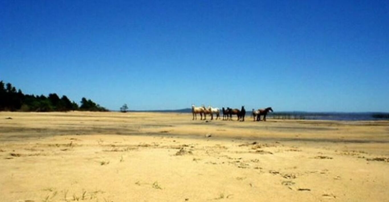 Campo con Playas Oceánicas — imagen 4
