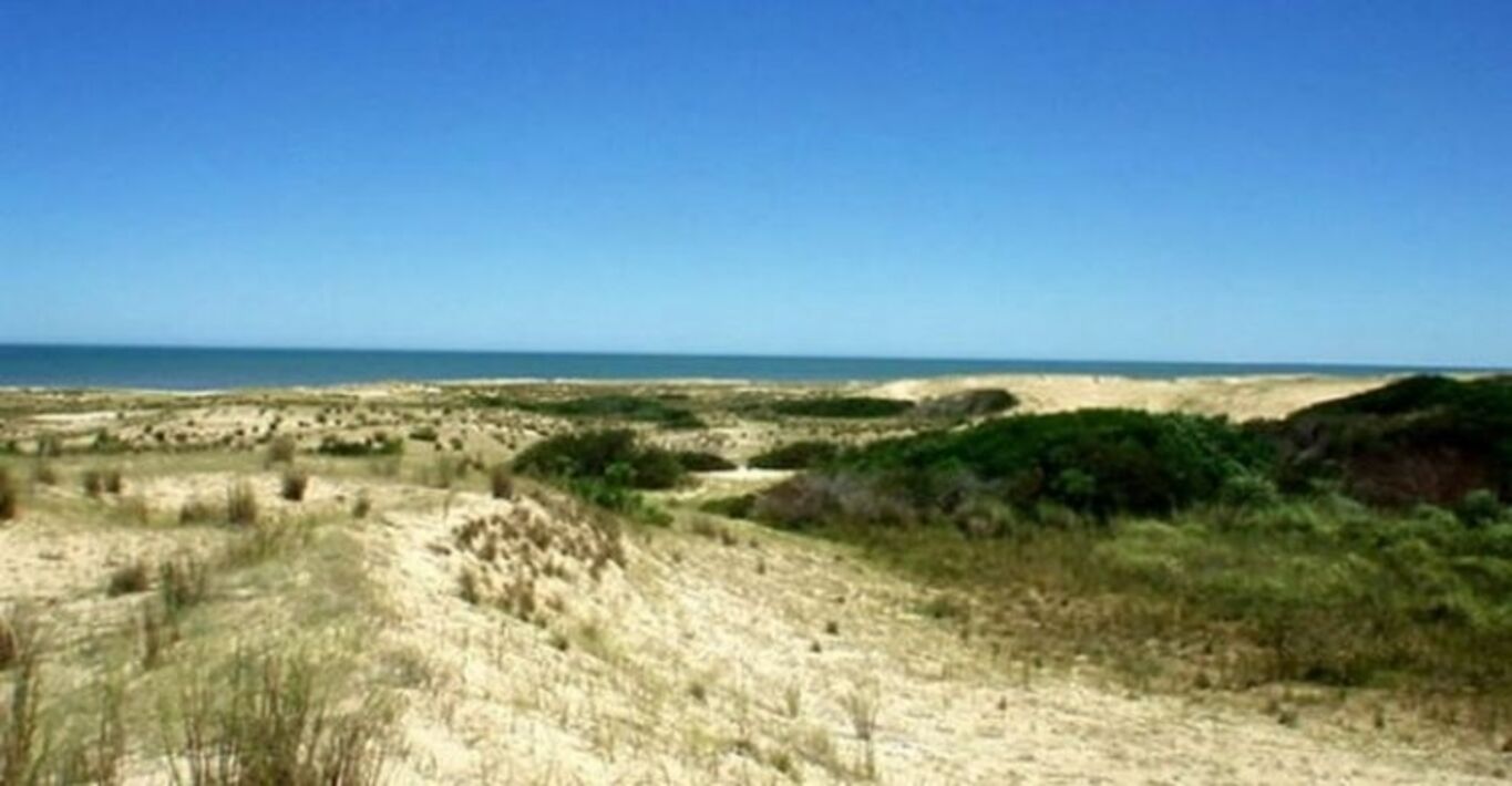 Campo con Playas Oceánicas — imagen 5