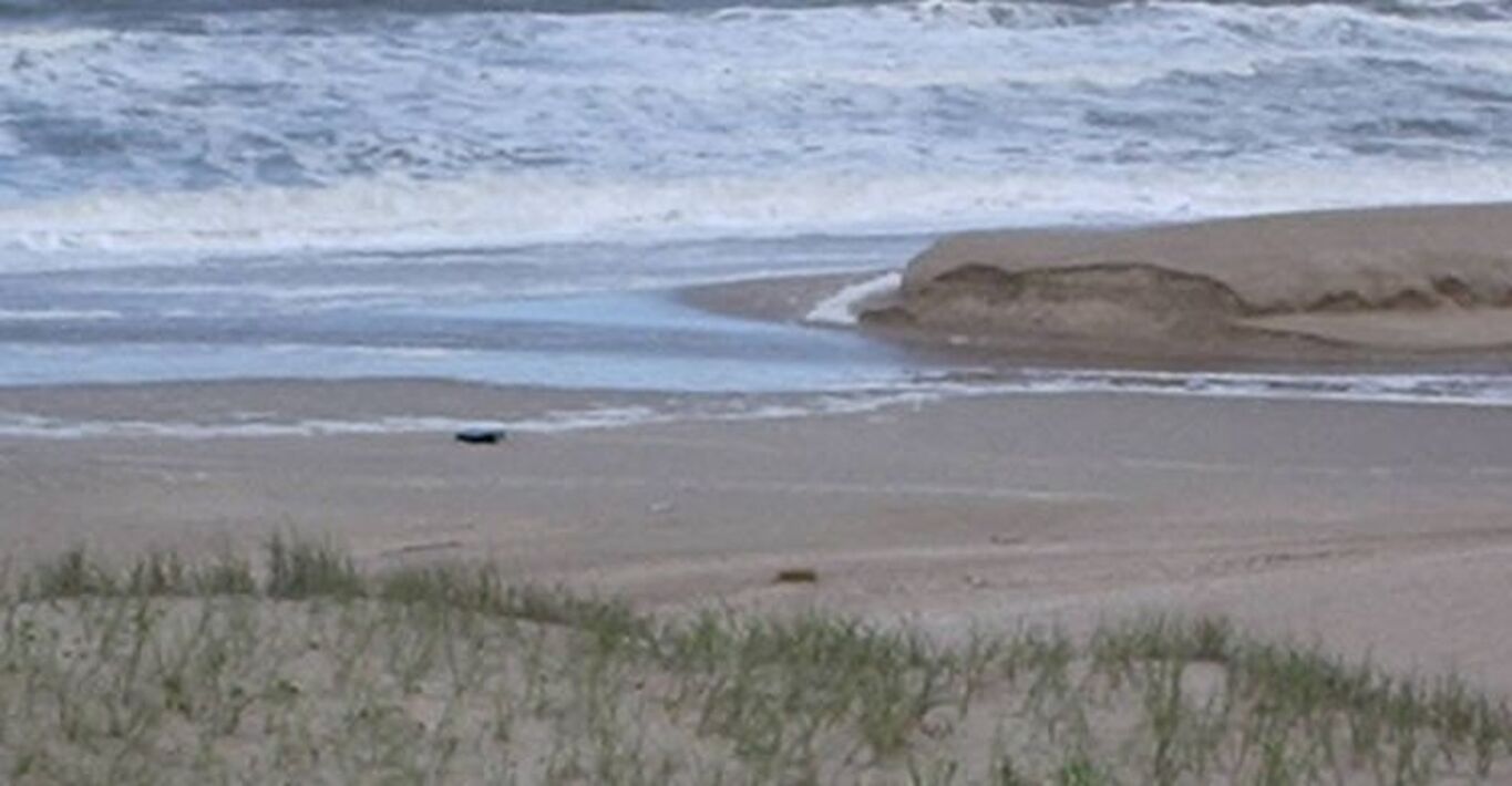 Campo con Playas Oceánicas — imagen 6
