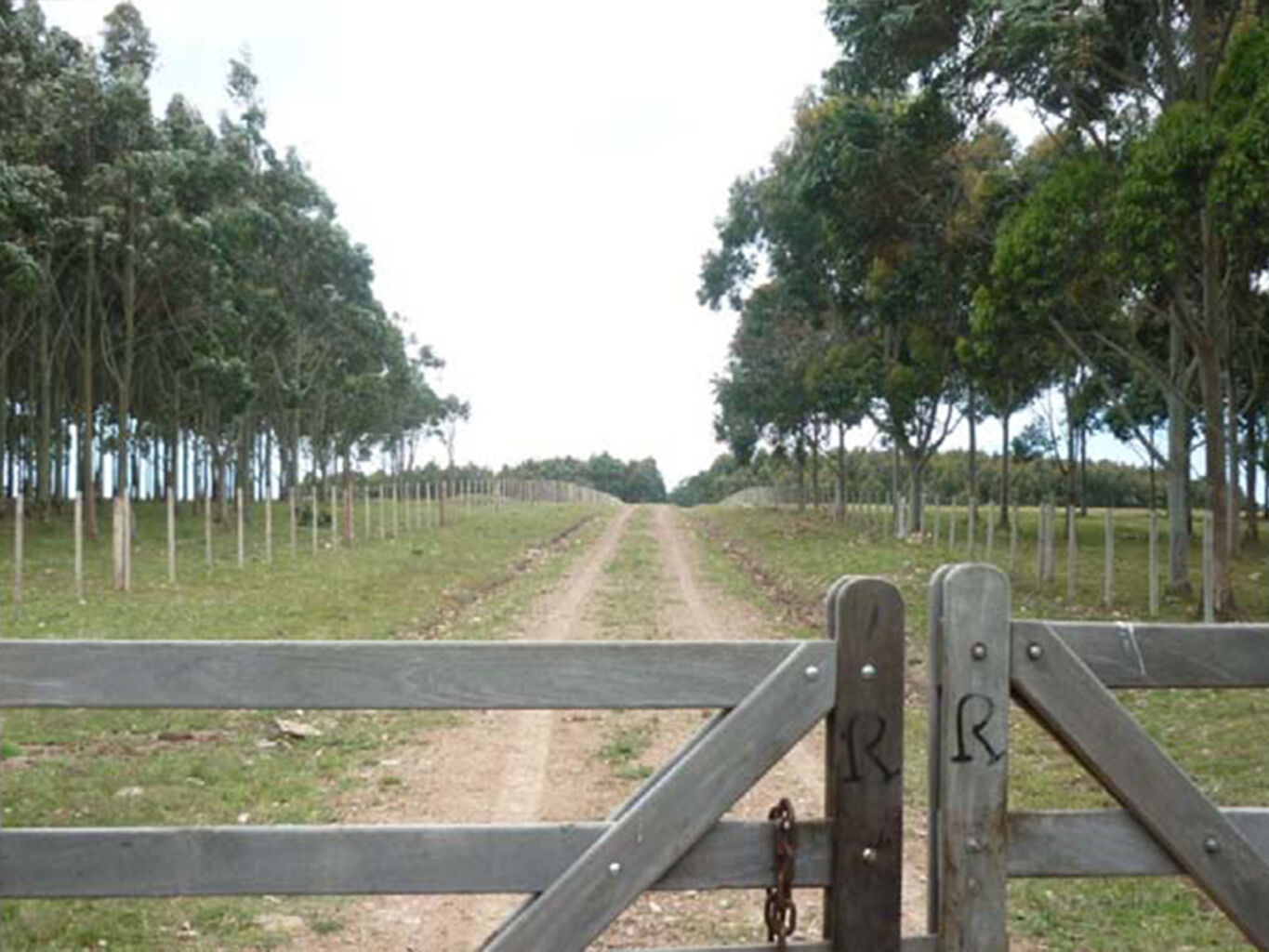 Campo Marítimo en Rocha — imagen 2