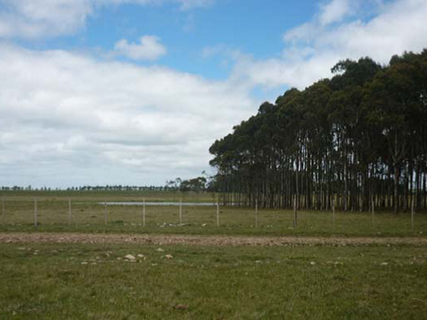 Campo Marítimo en Rocha — imagen 3