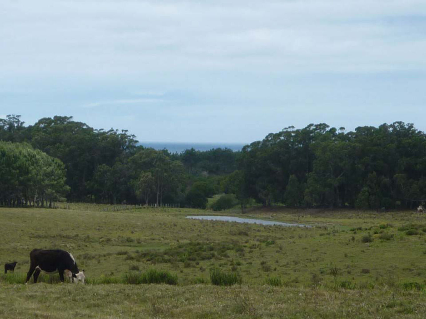 Campo Marítimo en Rocha