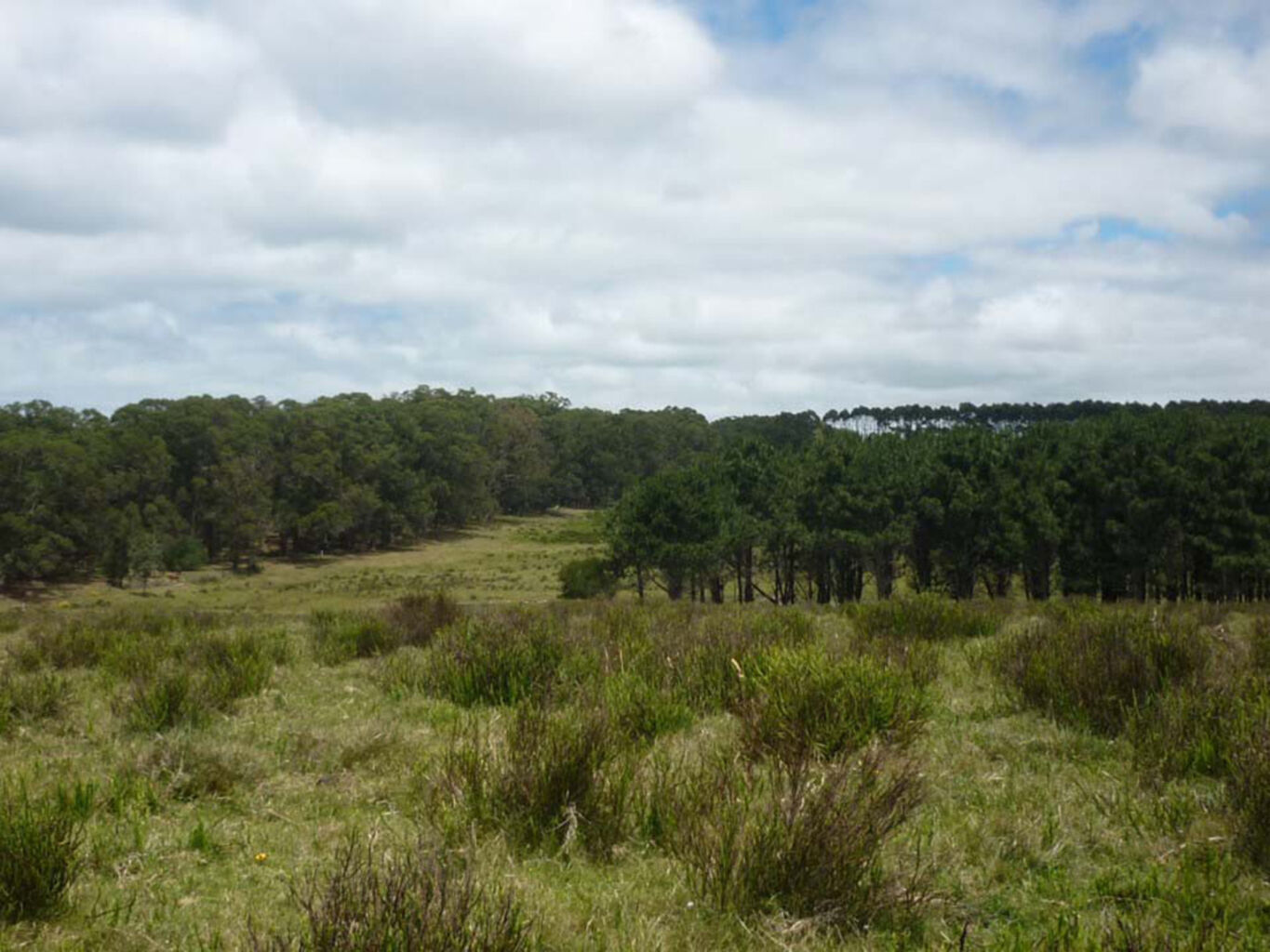 Campo Marítimo en Rocha — imagen 10