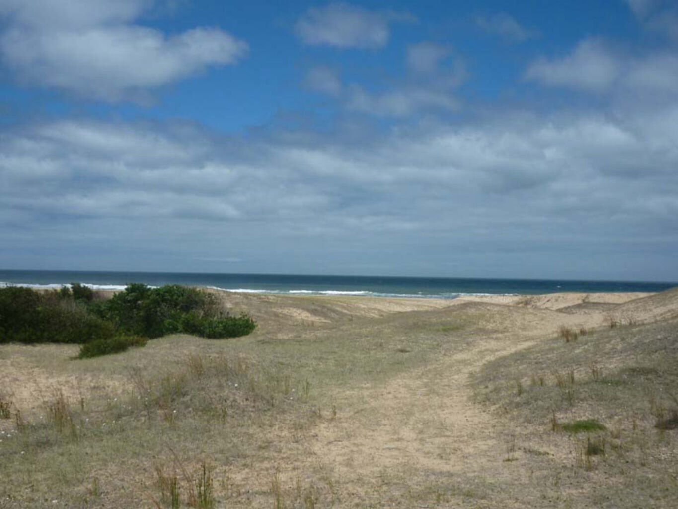 Campo Marítimo en Rocha — imagen 11