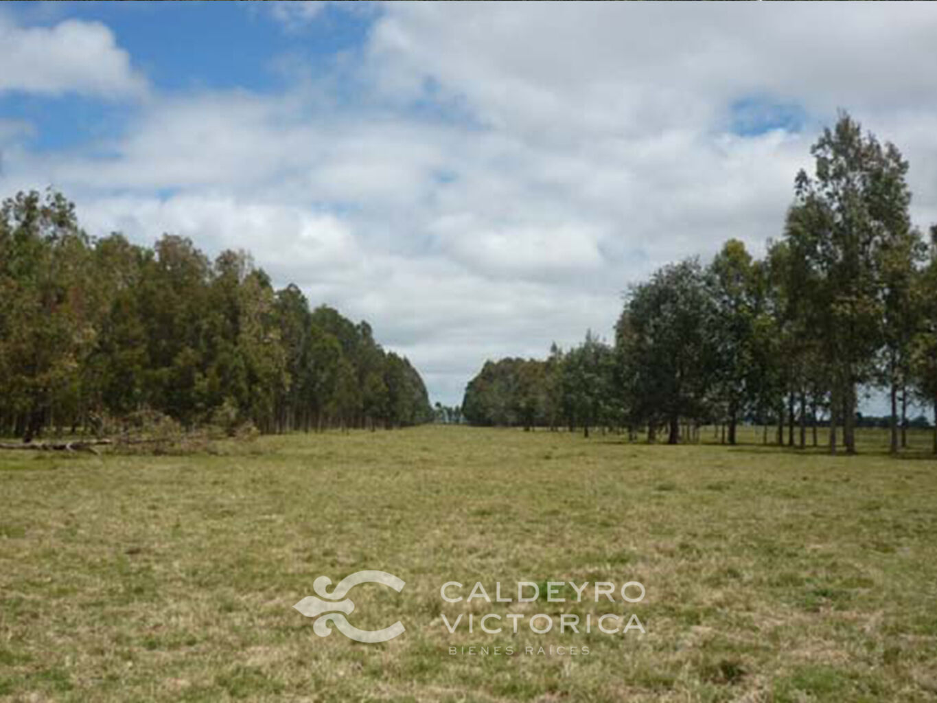 Campo Marítimo en Rocha — imagen 12
