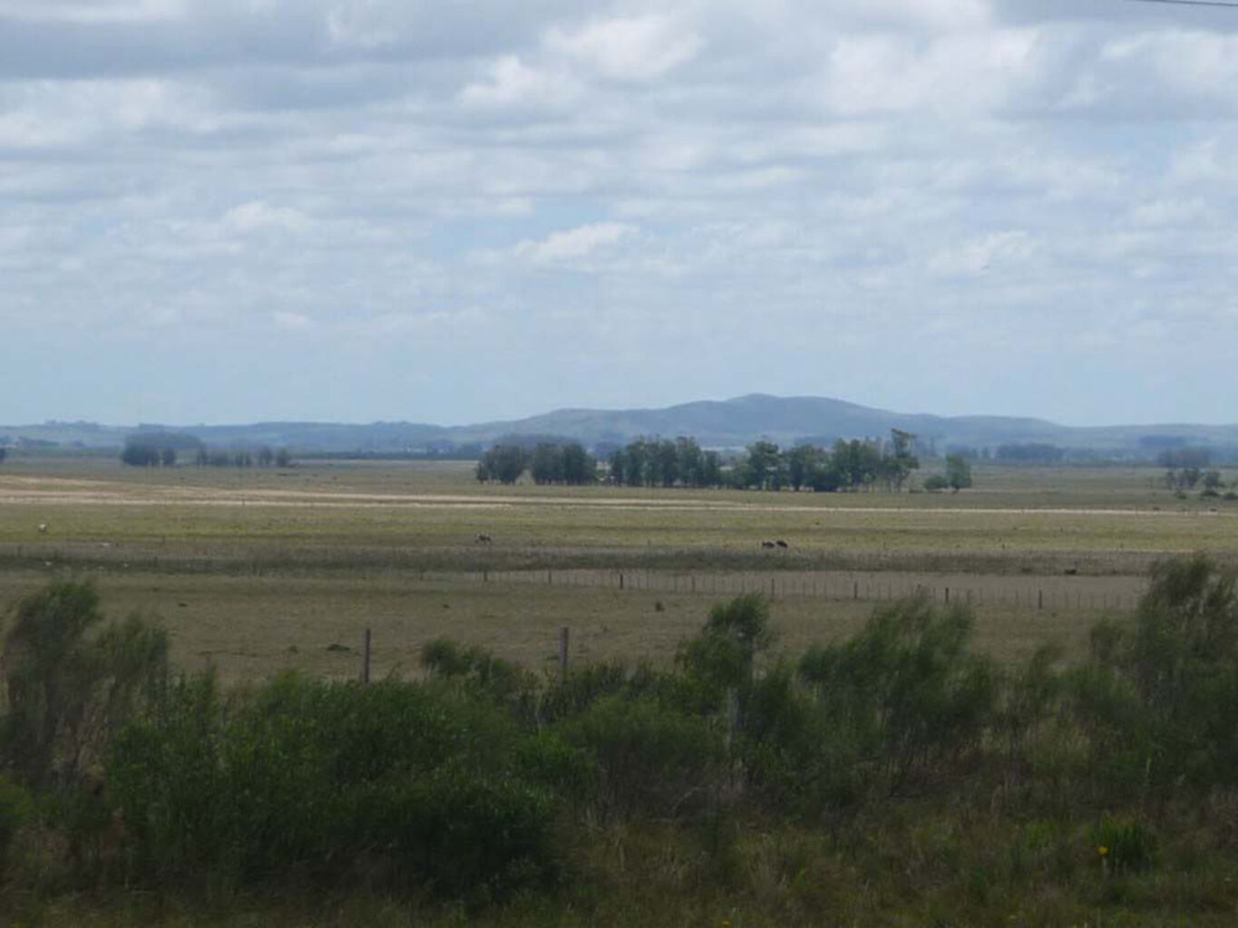 Campo Marítimo en Rocha — imagen 13