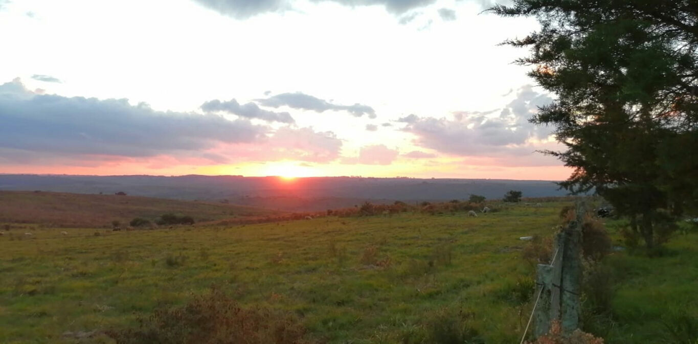 Campo en Cerro Largo