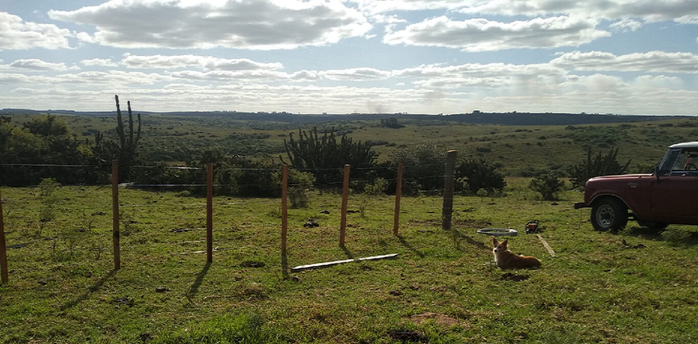 Campo en Cerro Largo — imagen 2