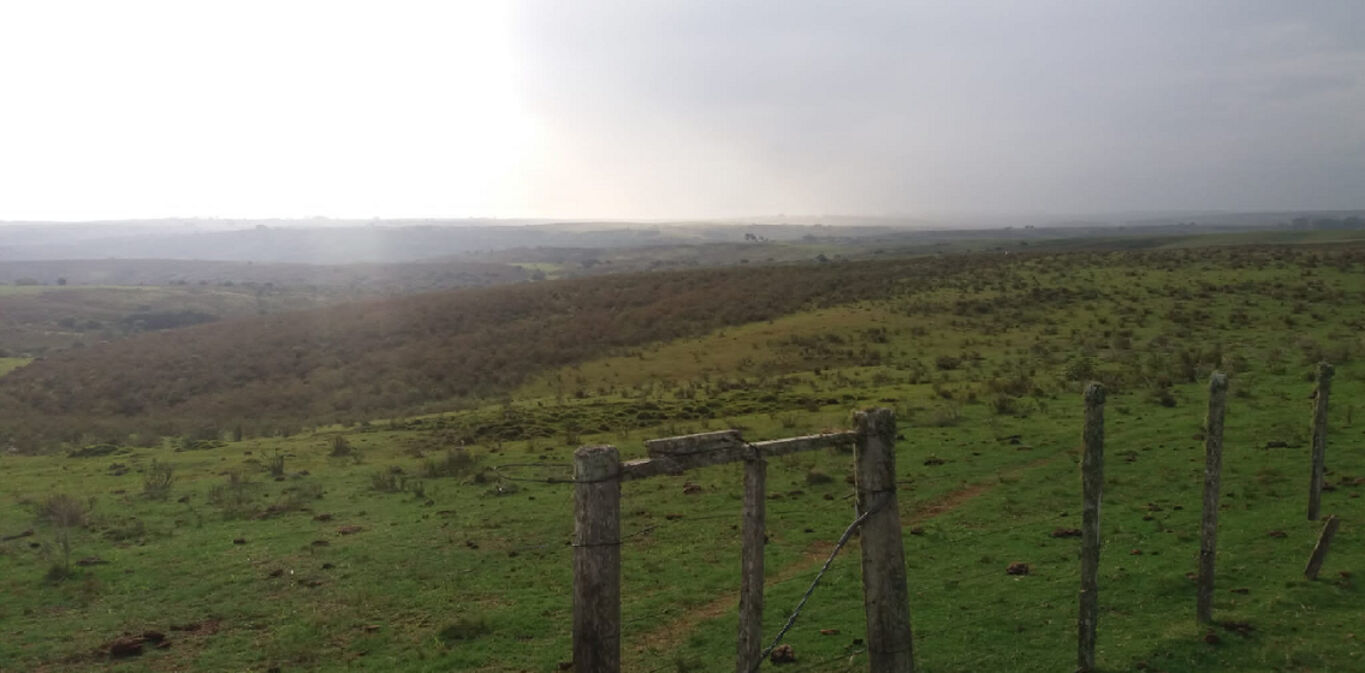 Campo en Cerro Largo — imagen 4