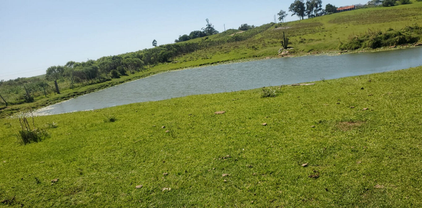 Campo en Cerro Largo