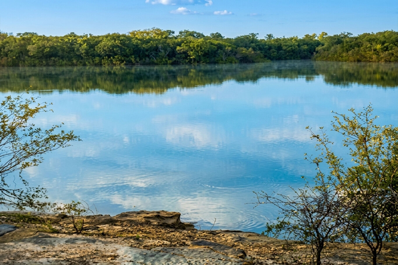 Campo en Cerro Largo — imagen 3