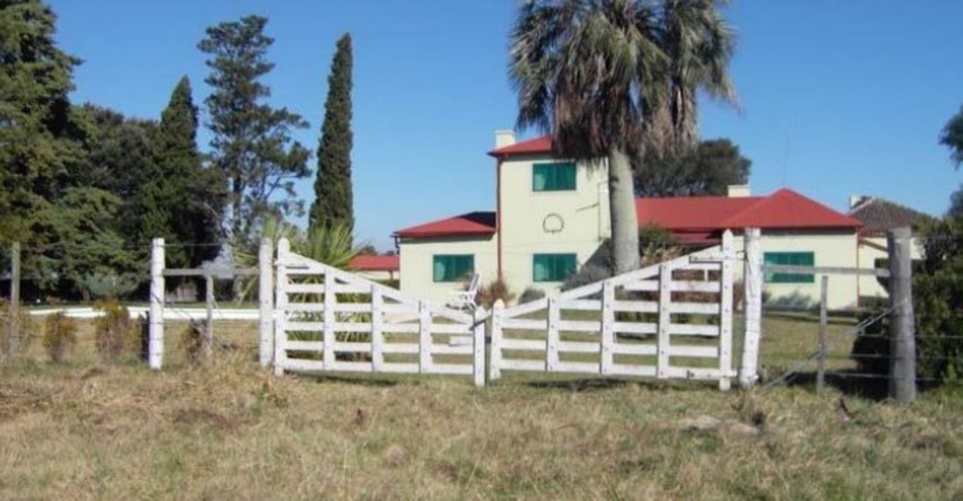 Excelente Campo Ganadero en Cerro Largo — imagen 4