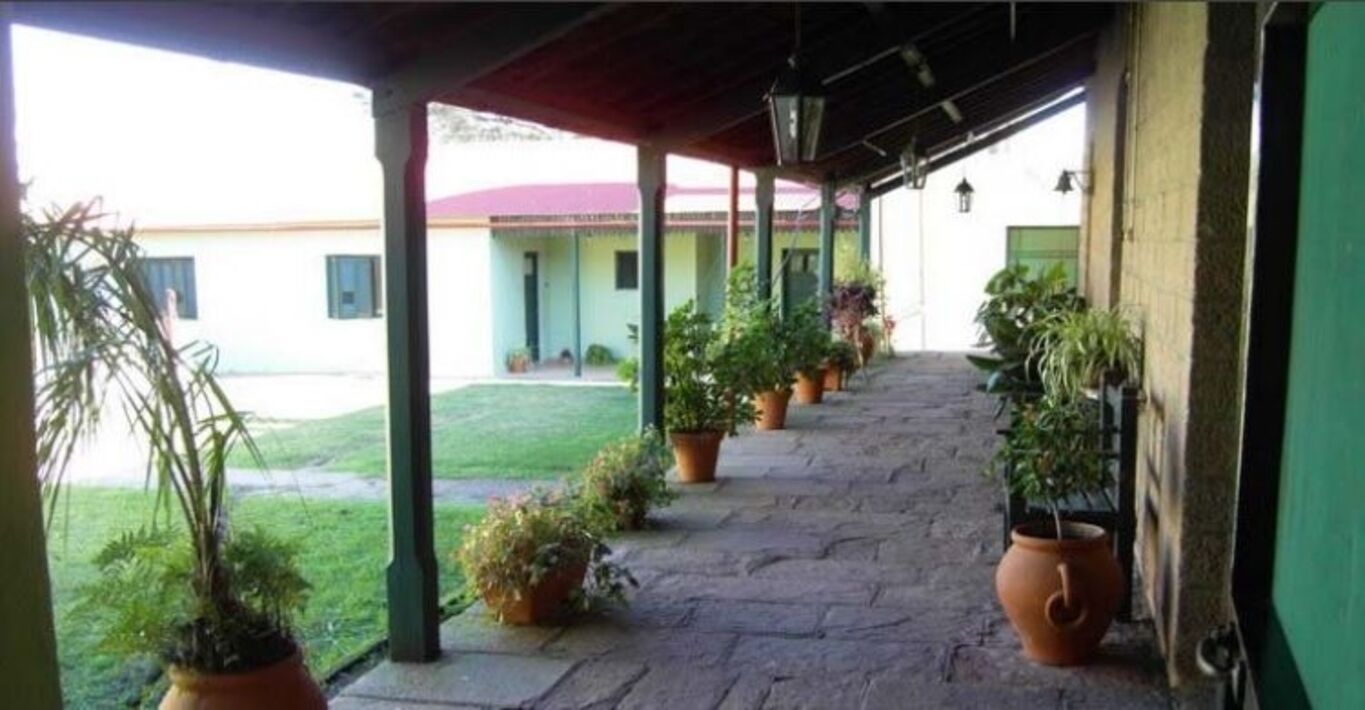 Excelente Campo Ganadero en Cerro Largo — imagen 16