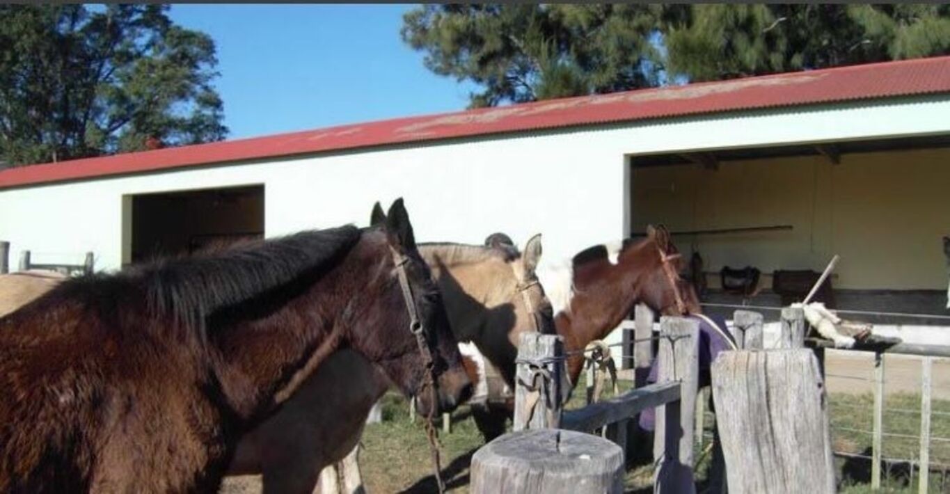 Excelente Campo Ganadero en Cerro Largo — imagen 20